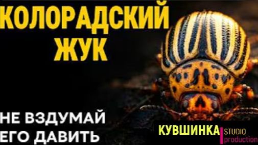 Колорадский жук откуда взялся смотреть онлайн