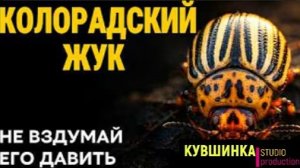 Колорадский жук откуда взялся