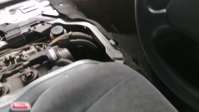5595.mp4 смотреть онлайн