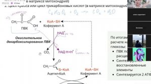 19.05, вт 17:10 Сложная задача на окислительное фосфорилирование и логику с реального экзамена