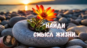 НАЙДИ СМЫСЛ ЖИЗНИ...