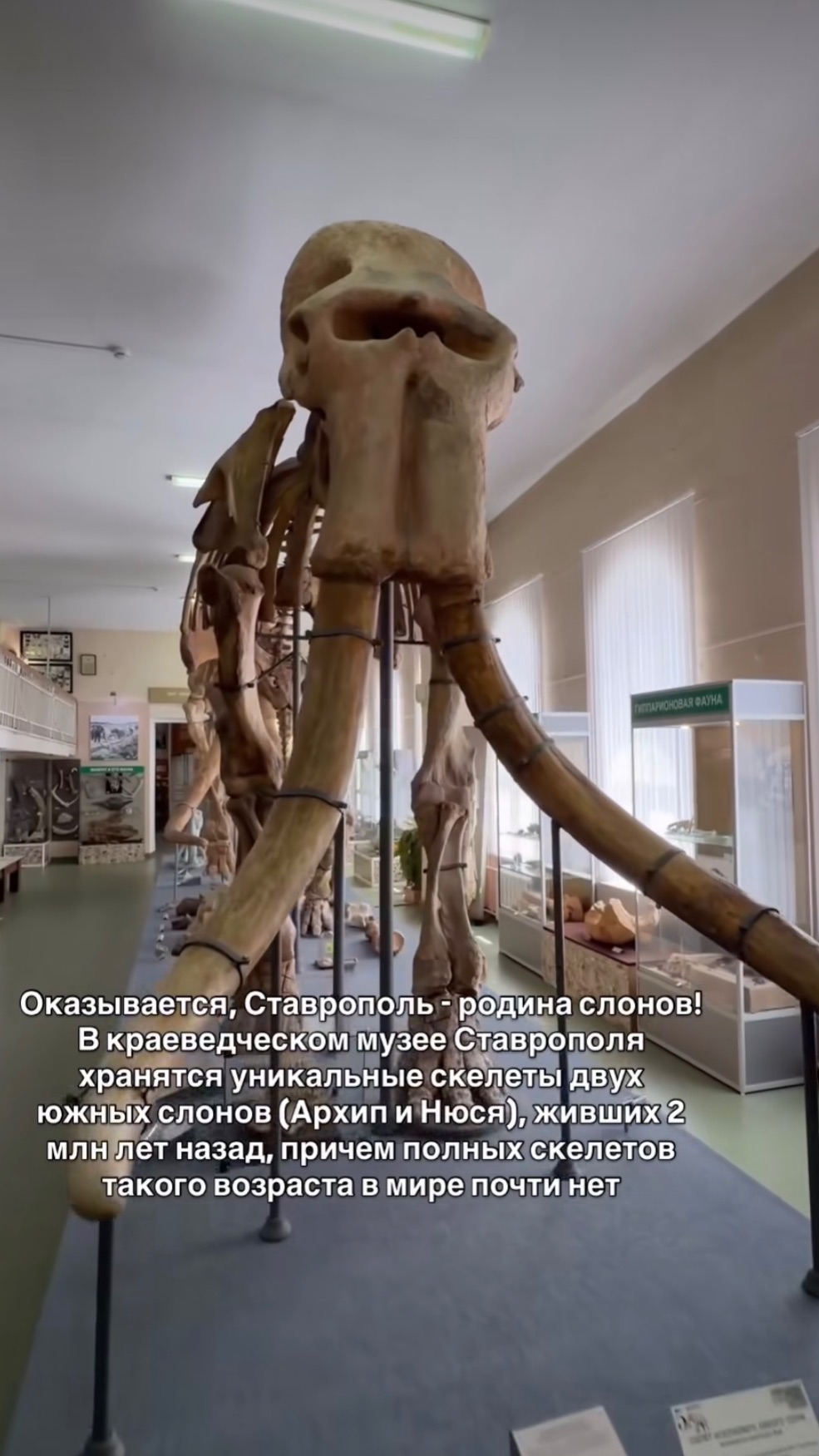 Про Ставрополь ❤️🔥 Полтора дня провел в этом прекрасном городе и обязательно вернусь. смотреть онлайн