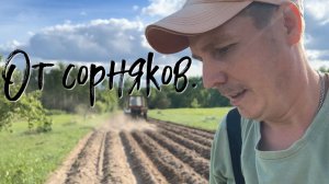 От сорняков.