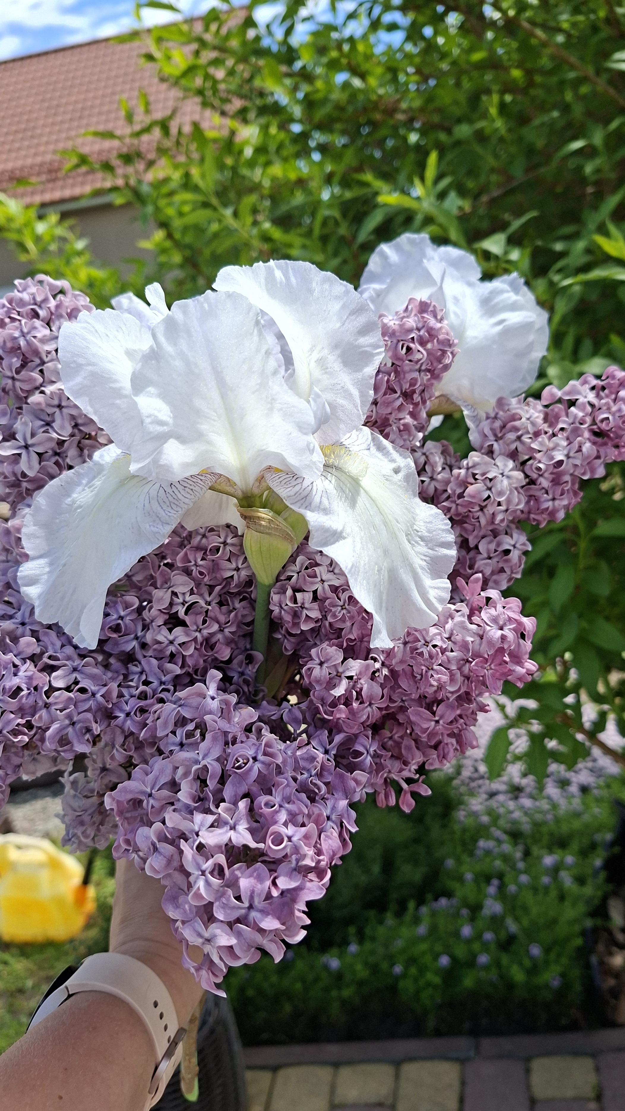 26-05-2026 Последний звонок по всей стране🔔💐