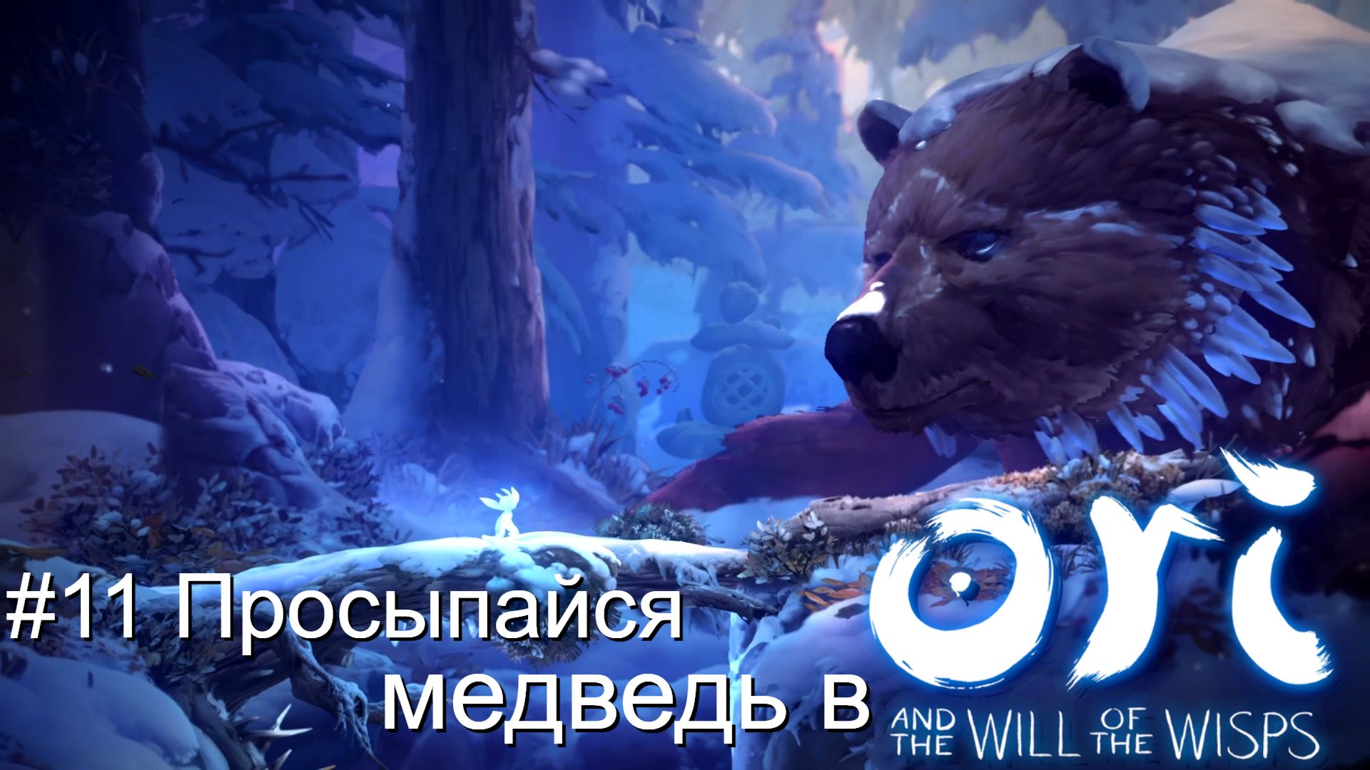 #11 Просыпайся медведь в Ori and the Will of the Wisps