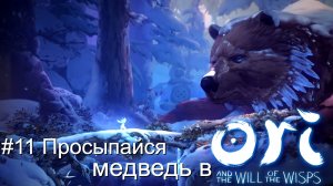 #11 Просыпайся медведь в Ori and the Will of the Wisps