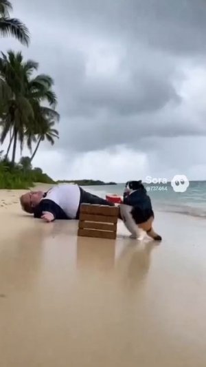 Куки с Тохой дерутся за наггетсы