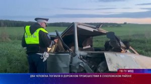 Два человека погибли в дорожном происшествии в Сухоложском районе