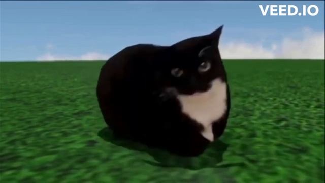 Maxwell's Dance_ смотреть онлайн