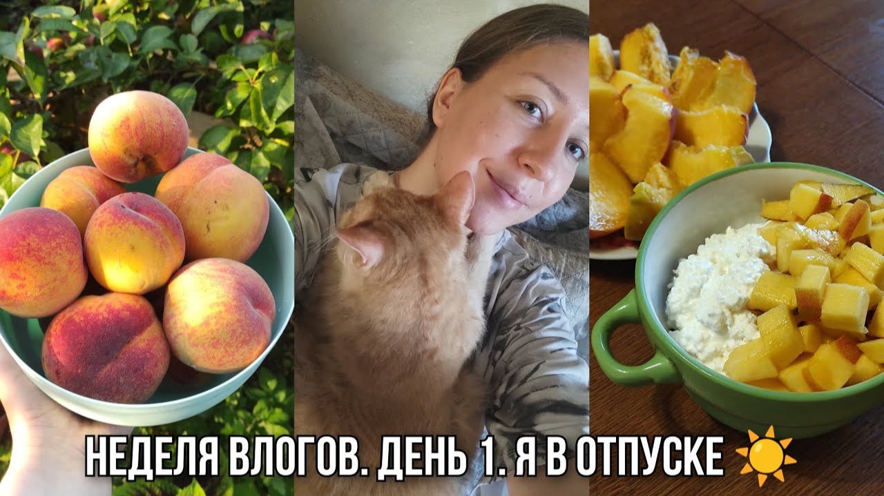 АРХИВ 2025 L Vlog: живу одна в доме с тремя котами | временный переезд | 16.08.2025