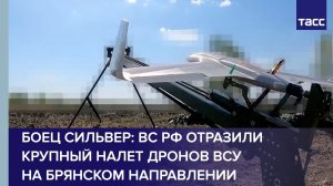 ВС РФ отразили крупный налет дронов ВСУ на брянском направлении