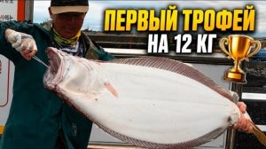 КАК ВЫЖИВАЕТ РУССКОЯЗЫЧНЫЙ МУЖИК В ЮЖНОЙ КОРЕЕ Руки тряслись от такого ПАЛТУСА, потом приплыла акула