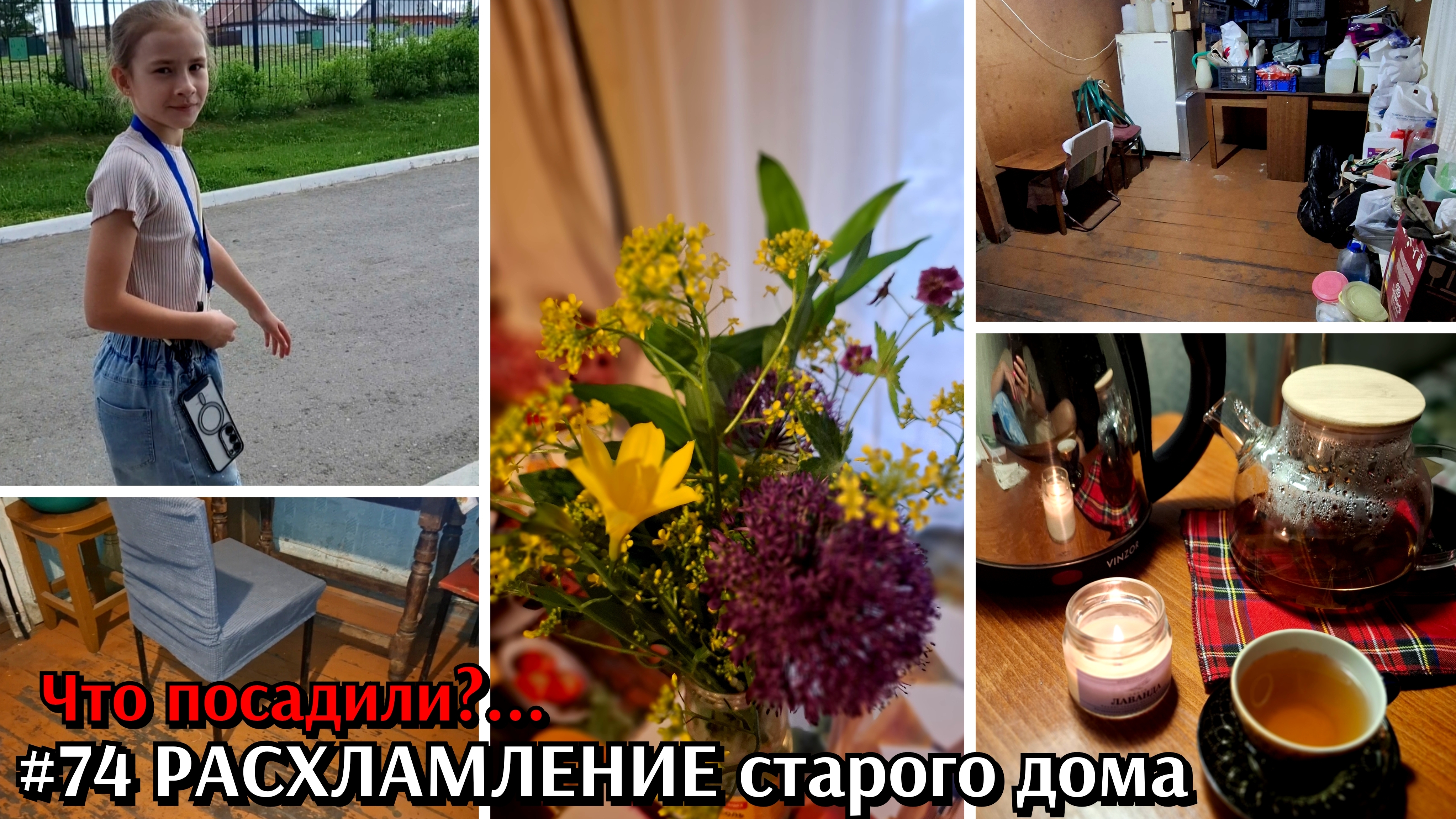 #74 расхлумление старого дома / что посадили / жизнь в деревне