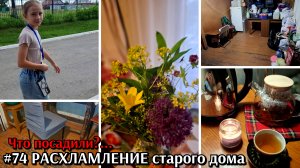 #74 расхлумление старого дома / что посадили / жизнь в деревне