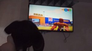 взлом телеканала канал карусель снял фильм!