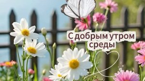С добрым утром среды: красивая музыкальная открытка с пожеланиями. Хорошего дня!