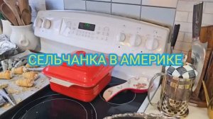 Сельчанка в Америке ДЕНЬ РОЖДЕНИЯ СЕЛЬЧАНКИ ГОСТИ С ВОРОНЕЖА