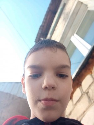 прямой эфир исследуем дом