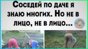 26-05-2026 « Огородная зависимость!» исп.группа « Музыка радости»