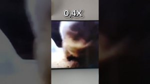 Чипи Чипи Чапа Чапа 1X-1000X 1 Часть