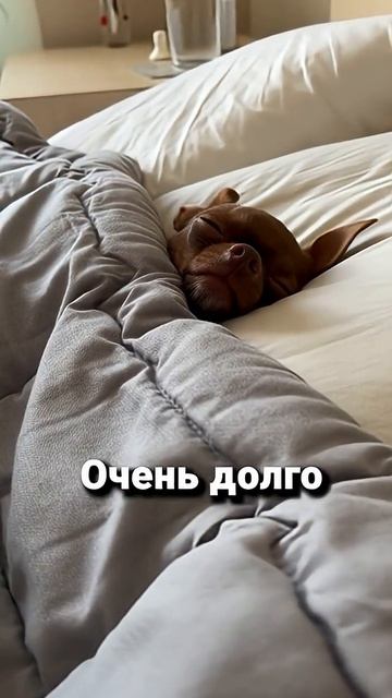 Фунт исповедается о своей СЛОЖНОЙ жизни смотреть онлайн