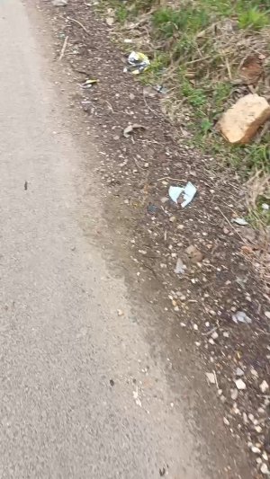 покупай мне на 500 руб Стрим
