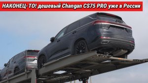 НАКОНЕЦ-ТО! Дешевый Changan CS75 PRO уже в России. Смотрим днище — НЕ ДЛЯ СЛАБОНЕРВНЫХ