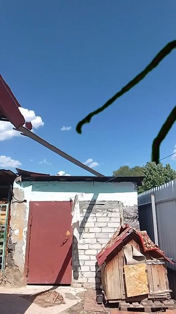 Сиреноголовый с длинной шеей
