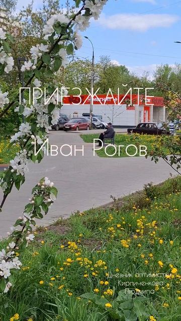 Приезжайте  Иван Рогов
