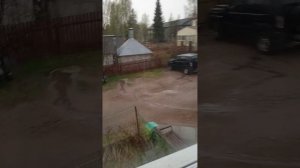 гроза