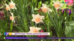 Цветочные узоры Царского Села