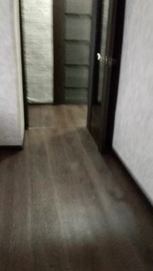 дома у губернатора 4к