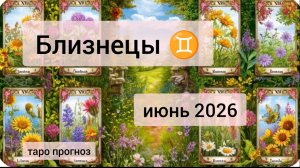 Близнецы ♊, июнь 2026