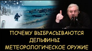 ✅ Н.Левашов. Почему выбрасываются дельфины. Метеорологическое оружие