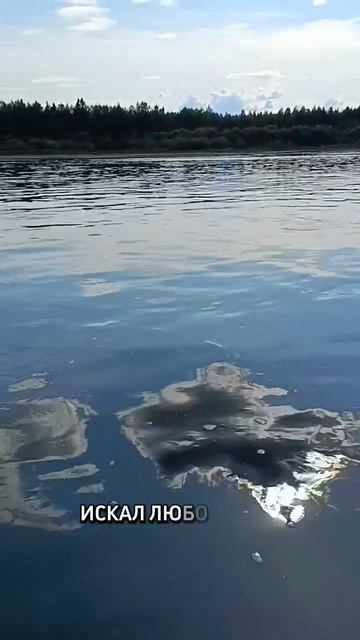 Мысли вслух