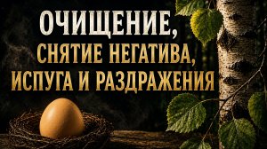 Снятие негатива, порчи и сглаза на Яйцо и Осину.