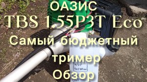 Обзор тримера Оазис TBS1.55P3T Eco