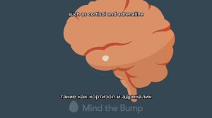 Mind the bump