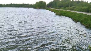 Зарыбление карпа РК «Фишка Петряиха»