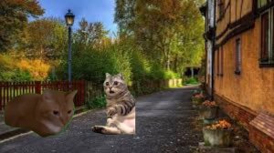 Котики (читать комменты)