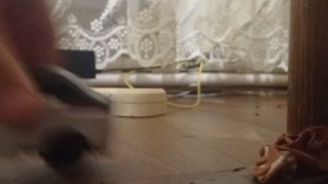 я разрушил волгу