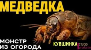 Медведка Монстр из Вашего Огорода