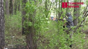На территории Дома ветеранов прошёл субботник