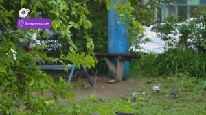 Было / Стало / Будущее скверов Владивостока / 26.05.26