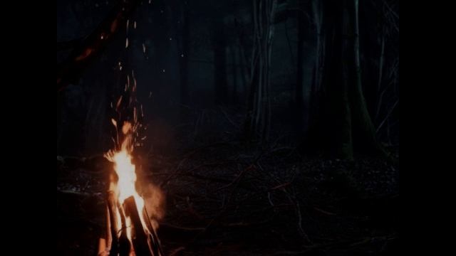 562.mp4 смотреть онлайн