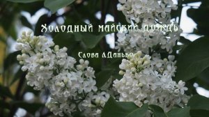 Холодный майский дождь