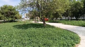 СХОДИЛА К НЕВРОЛОГУ, НАЗНАЧИЛ МРТ/ОБЕД В СТОЛОВОЙ. .