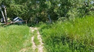 Дача. Прогулка к реке