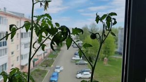 Красота в глазах смотрящего 🥰