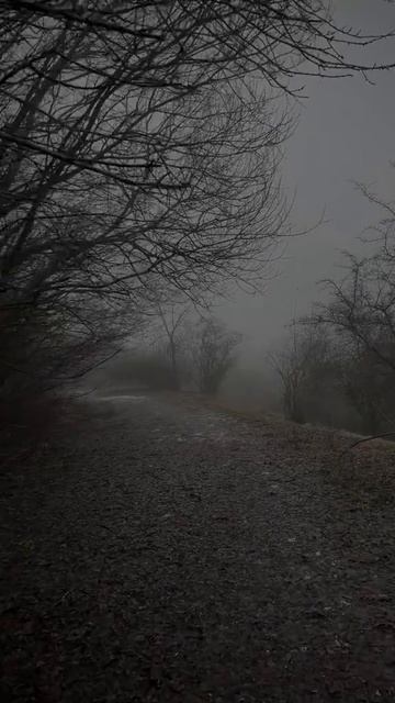🍃- описание смотреть онлайн